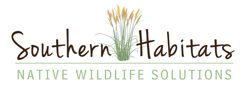 Southern Habitats: Native Wildlife Solutions