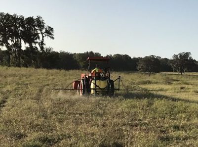Treating area of pipeline that was kept in pasture grass with selective herbicide.