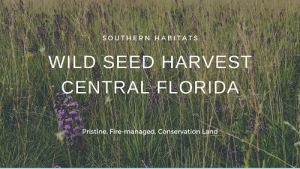 Seed Harvest Video